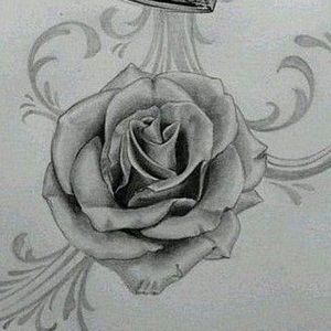 Meet your Posher, Soledad